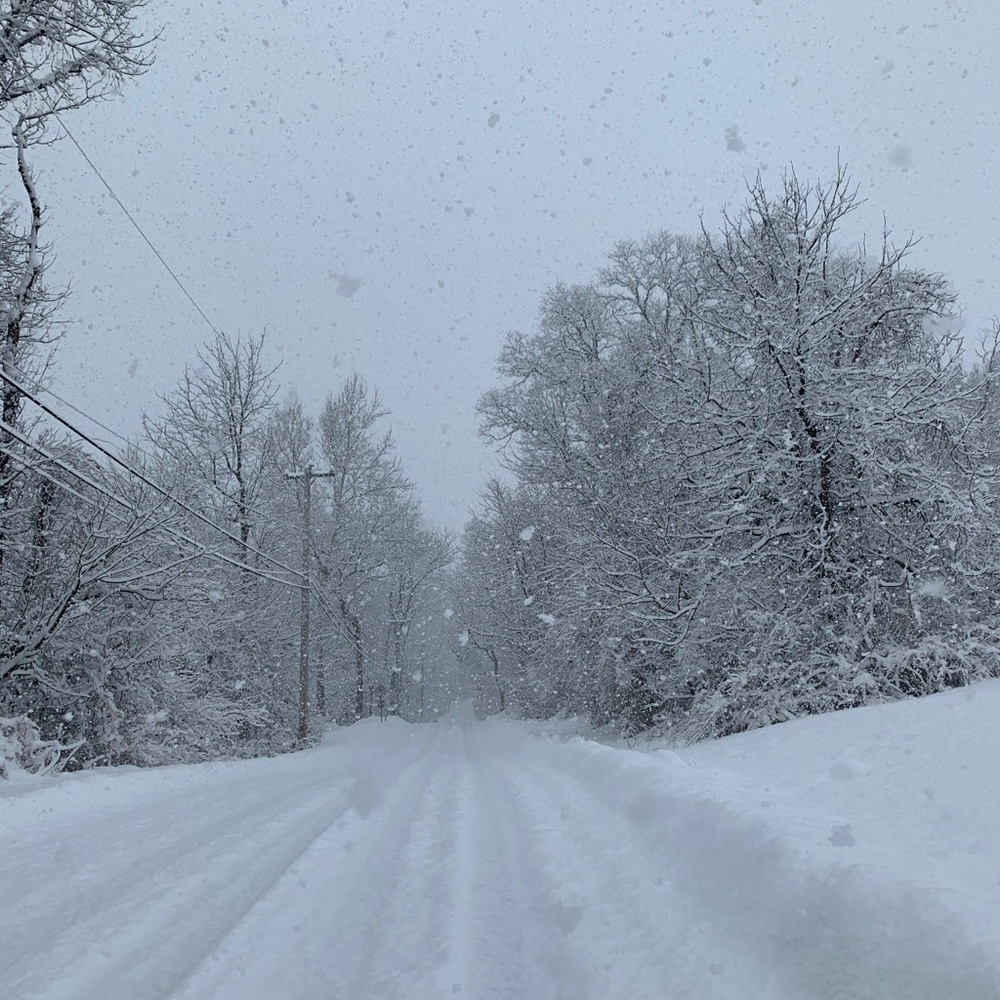 Meet your Posher, Cali